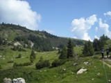 Clicca qui per vedere l'immagine in dettaglio